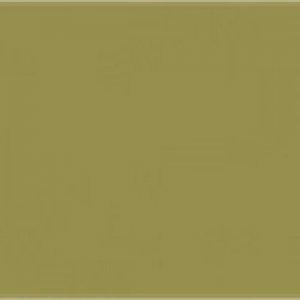 Paint and Paper Library Wattle V Paint